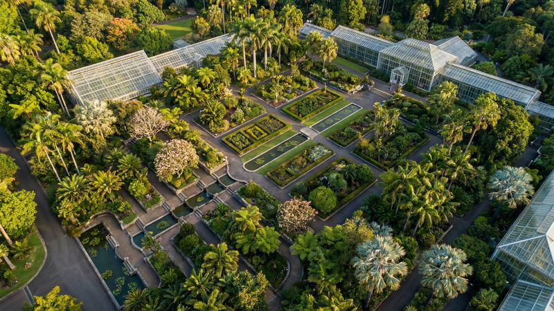 高清3D动漫卫矛品种视频